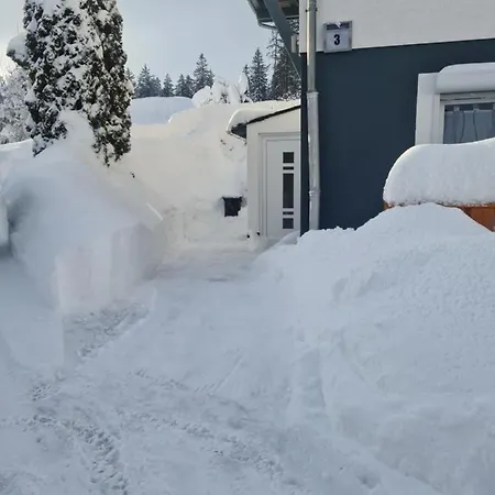 Apartment 's Stueble Schoenwald im Schwarzwald